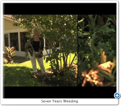 Seven Years Weeding