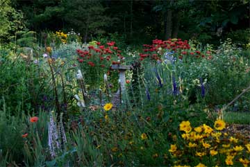 Reading a Garden