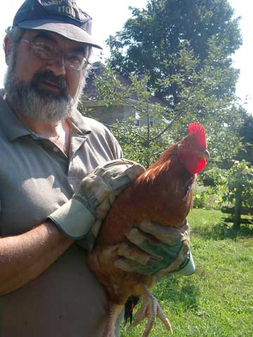 Three French Hens